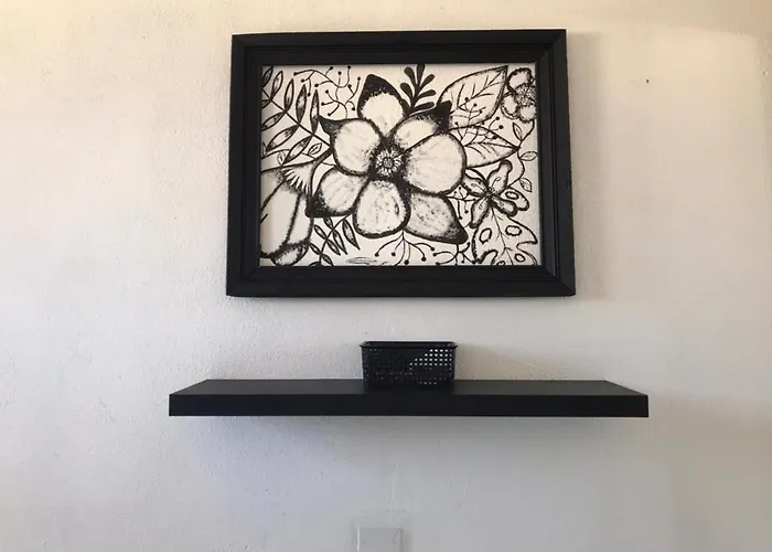 The Next Door Black And White Studio In Cabo Apartment *