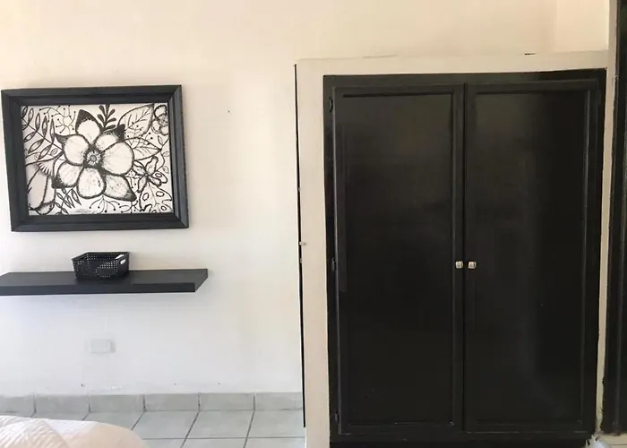 The Next Door Black And White Studio In Cabo Apartment Cabo San Lucas